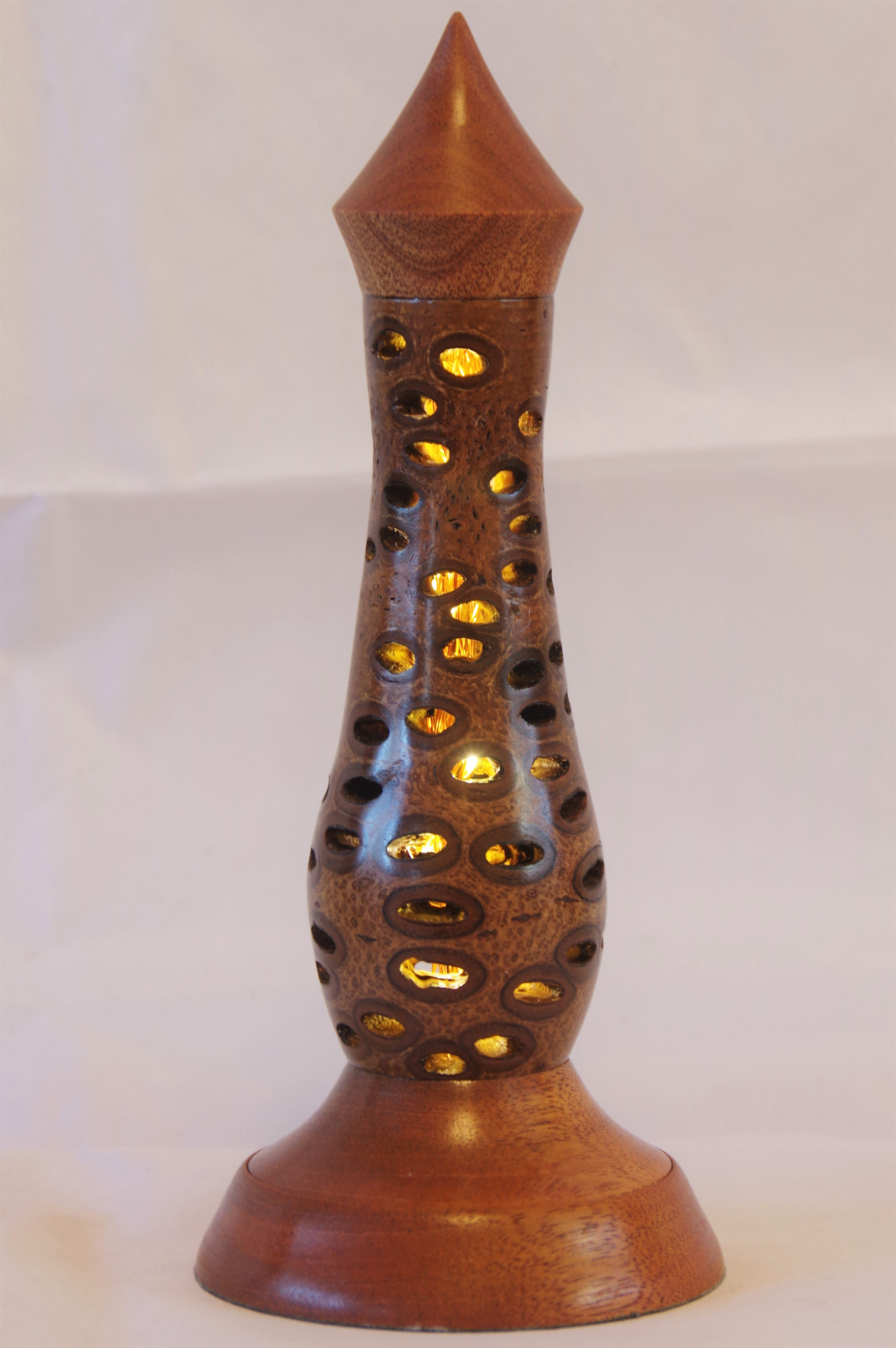 Banksia nut lamp